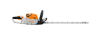 PictureAltAttribute - 1-29-png